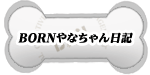 BORN ��Ȃ������L