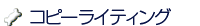 �R�s�[���C�e�B���O